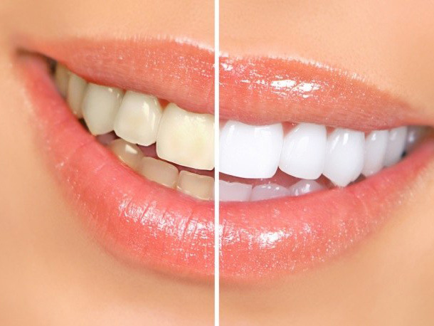 Gilberto G. Garcia, DDS