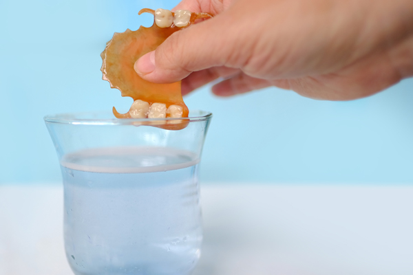 Tips For Partial Denture Care